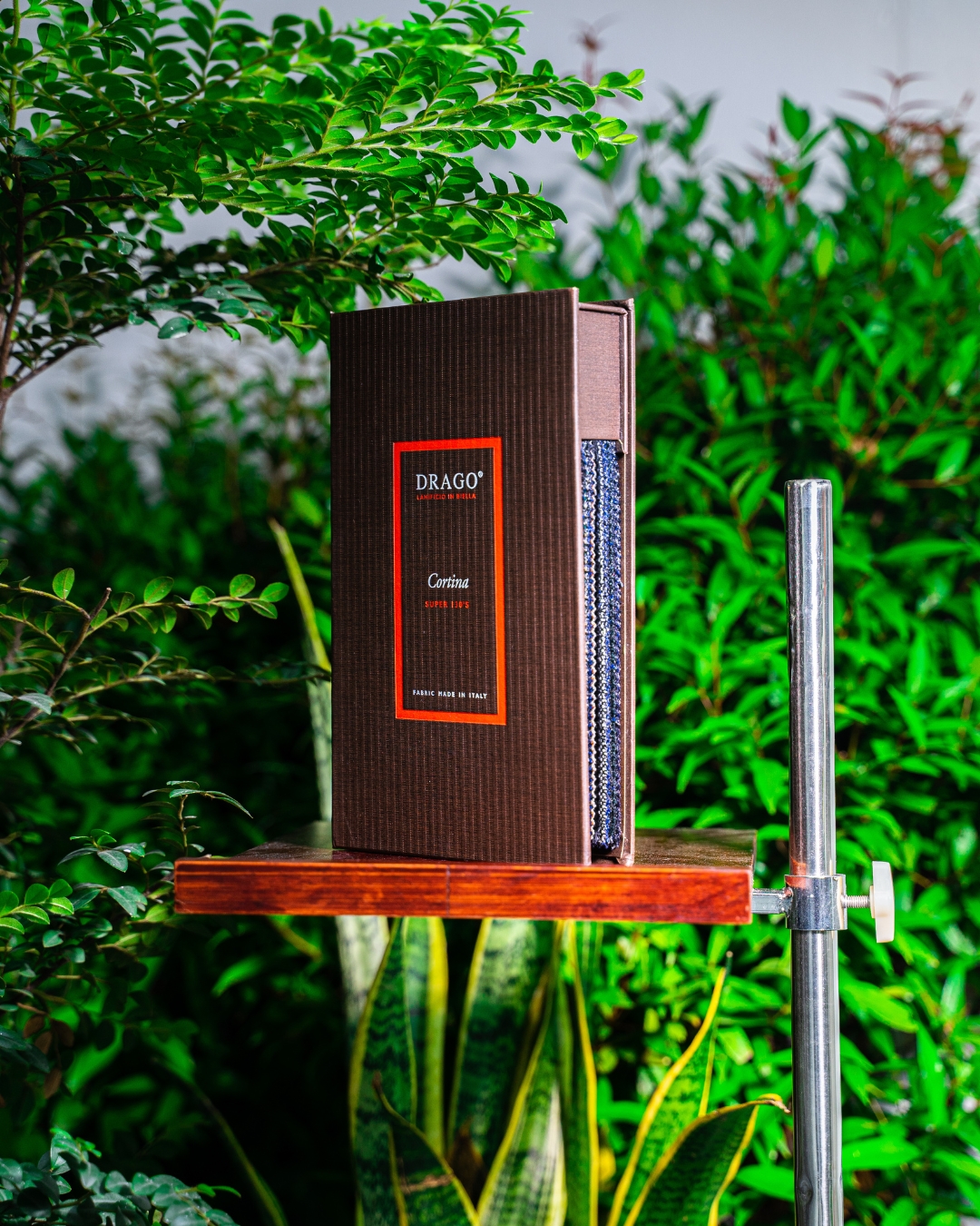 Article illustration