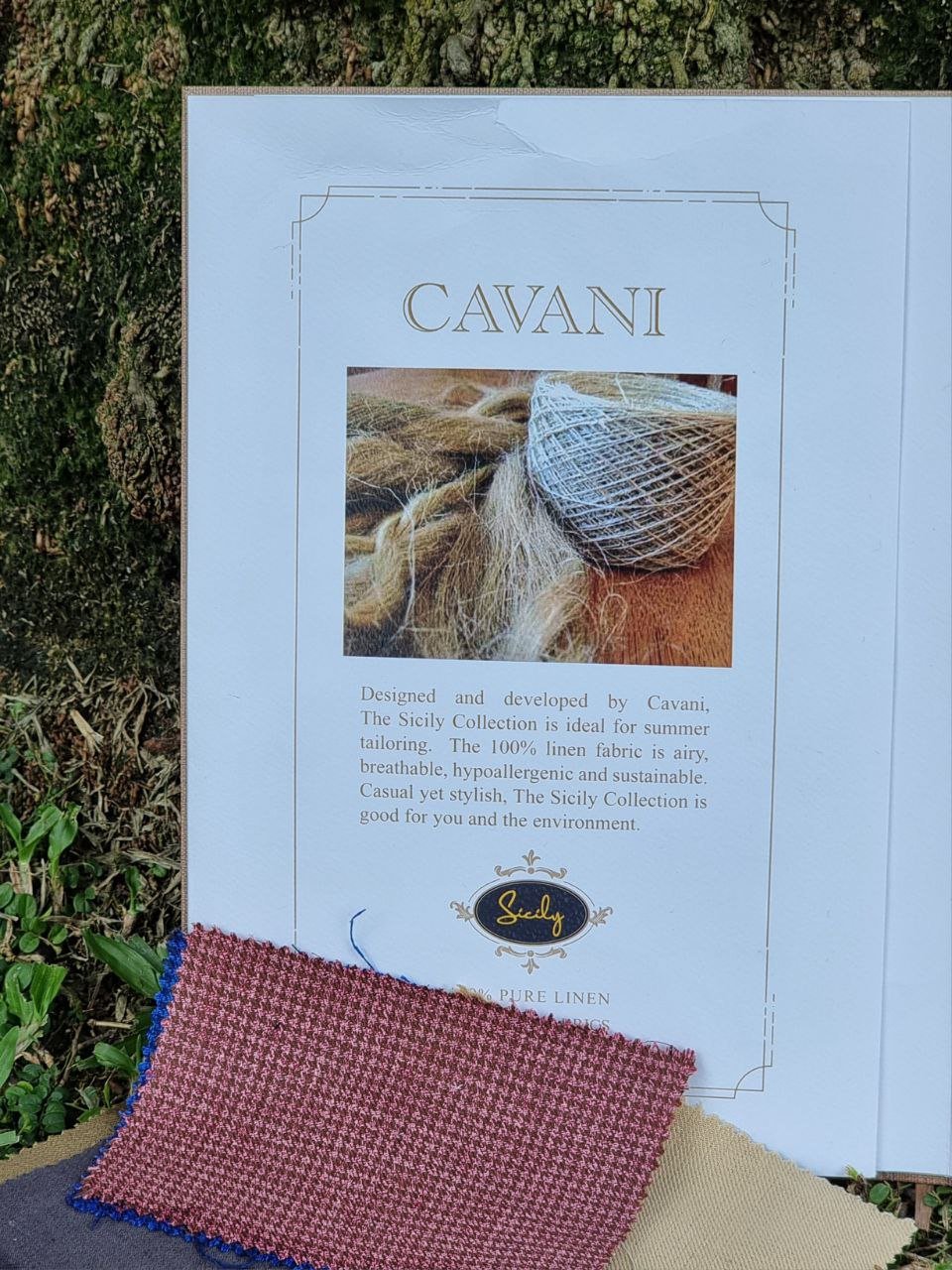 Article illustration