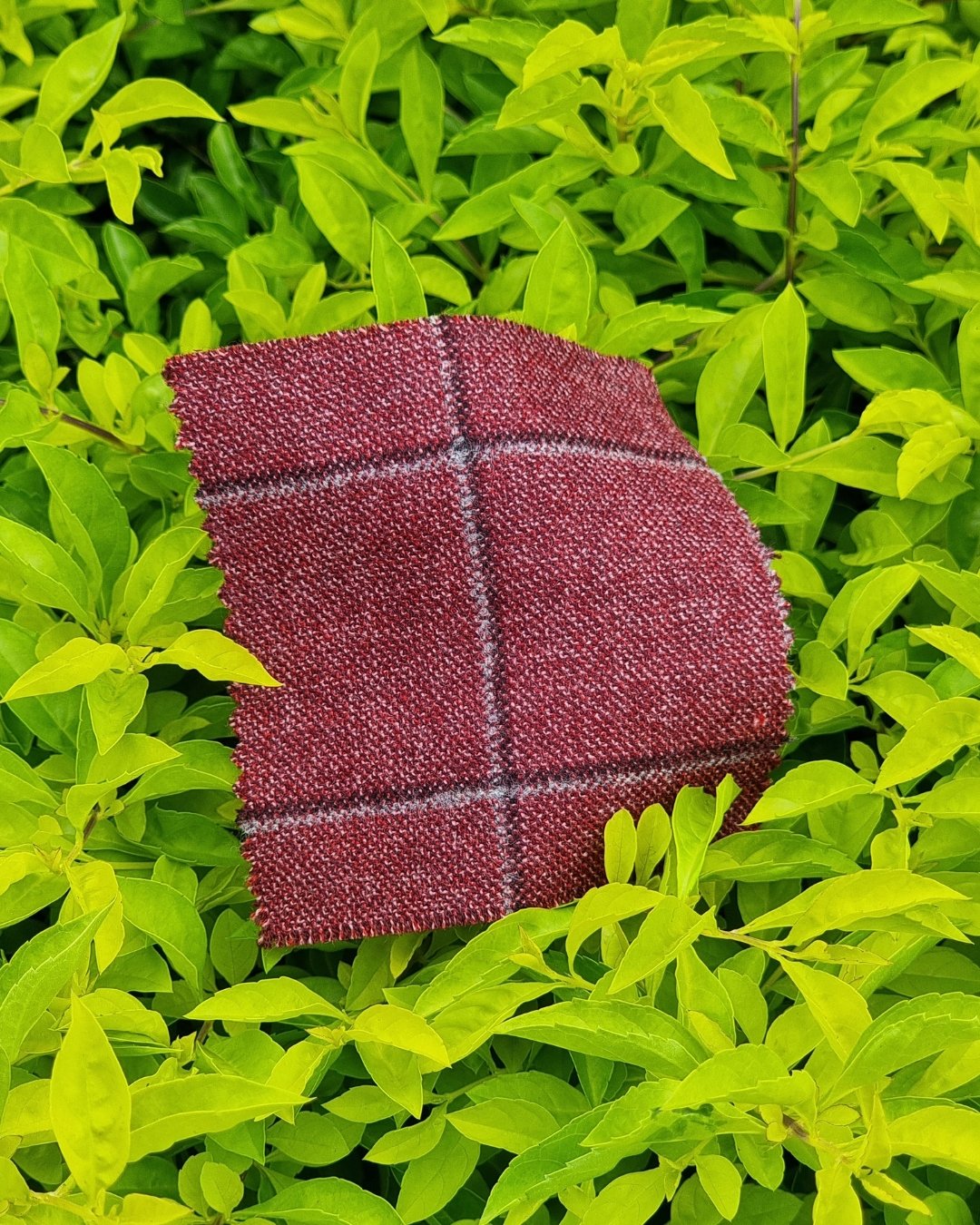 Burgundy Windowpane Tweed Blazer - Additional view 4