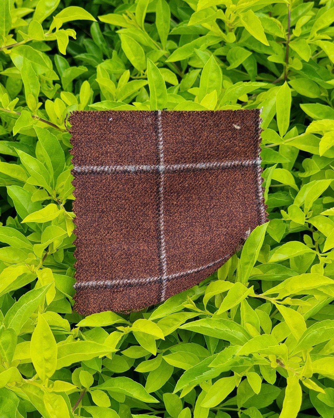 Chocolate Windowpane Tweed Blazer - Additional view 2