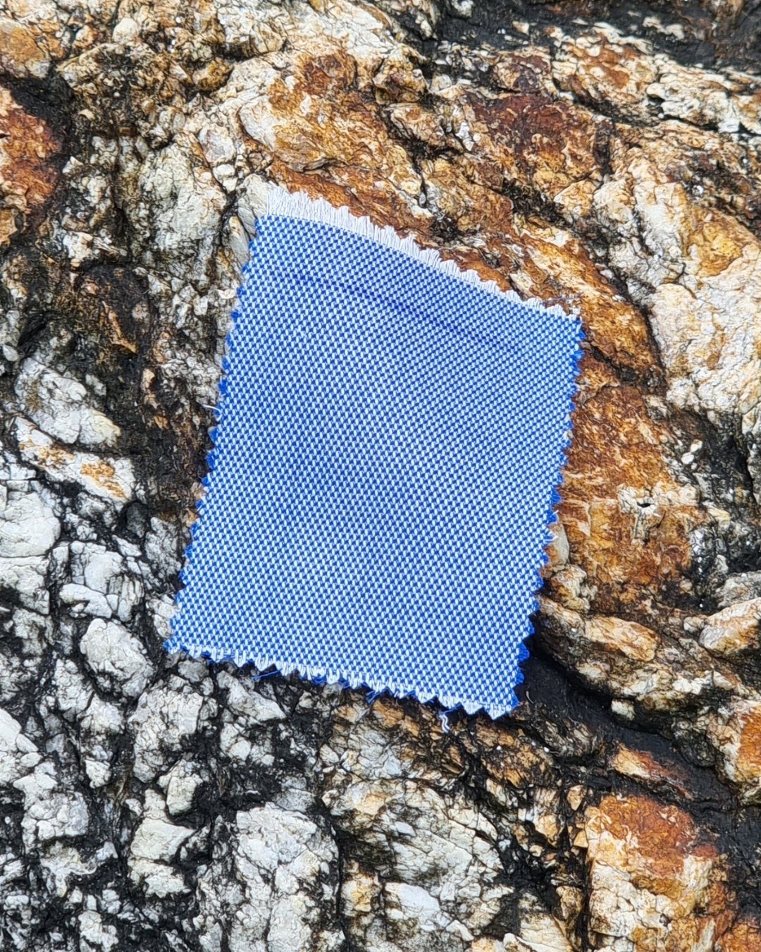 Blue Pinhead Italian Cotton Shirt - Additional view 3