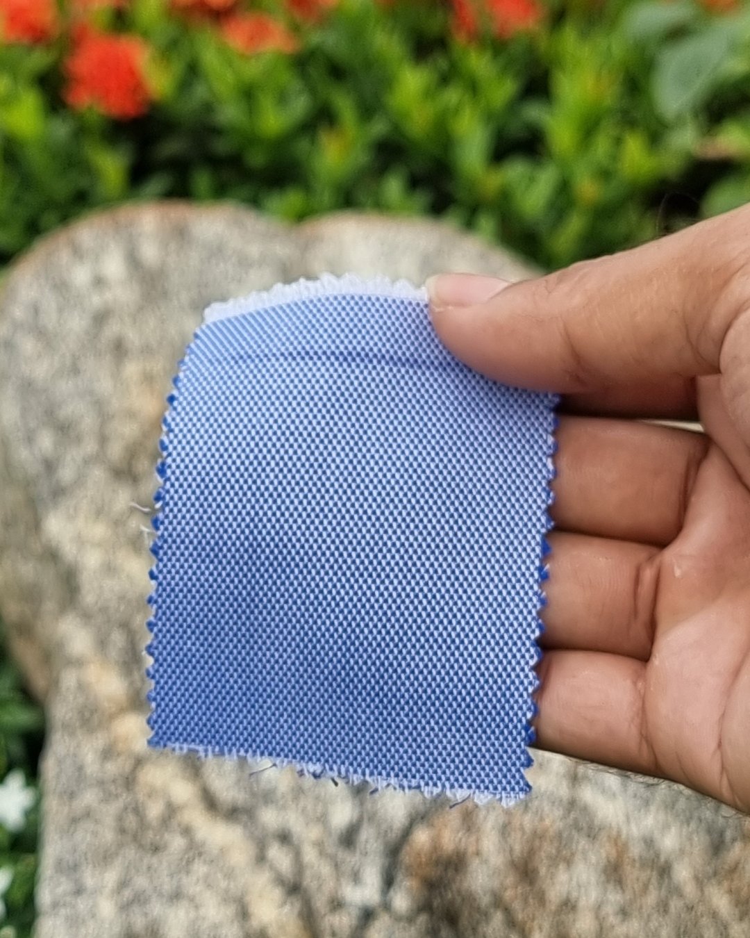 Blue Pinhead Italian Cotton Shirt - Additional view 1