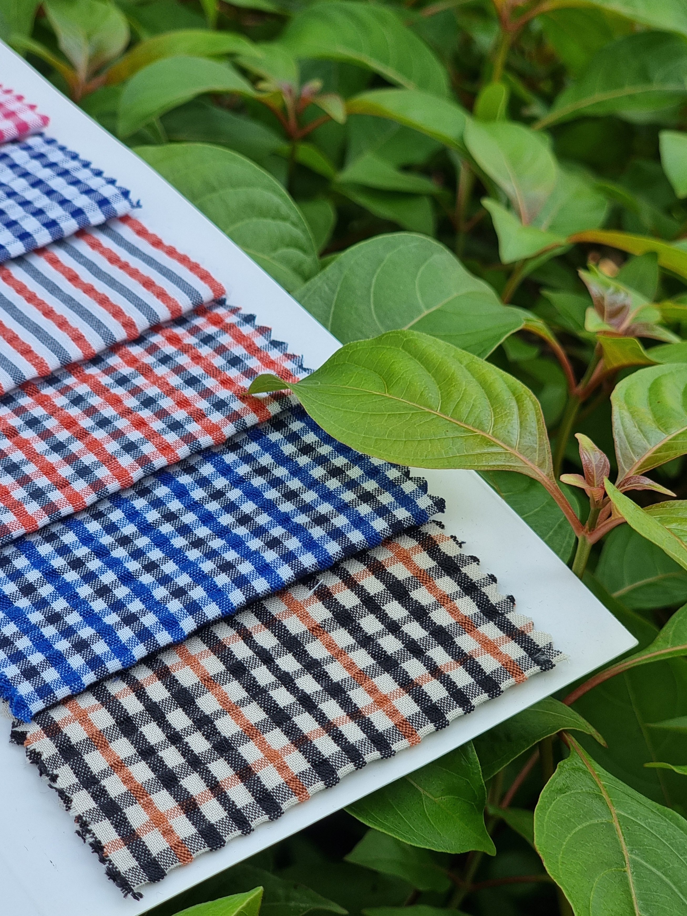 Beige & Black Gingham Seersucker - Additional view 5