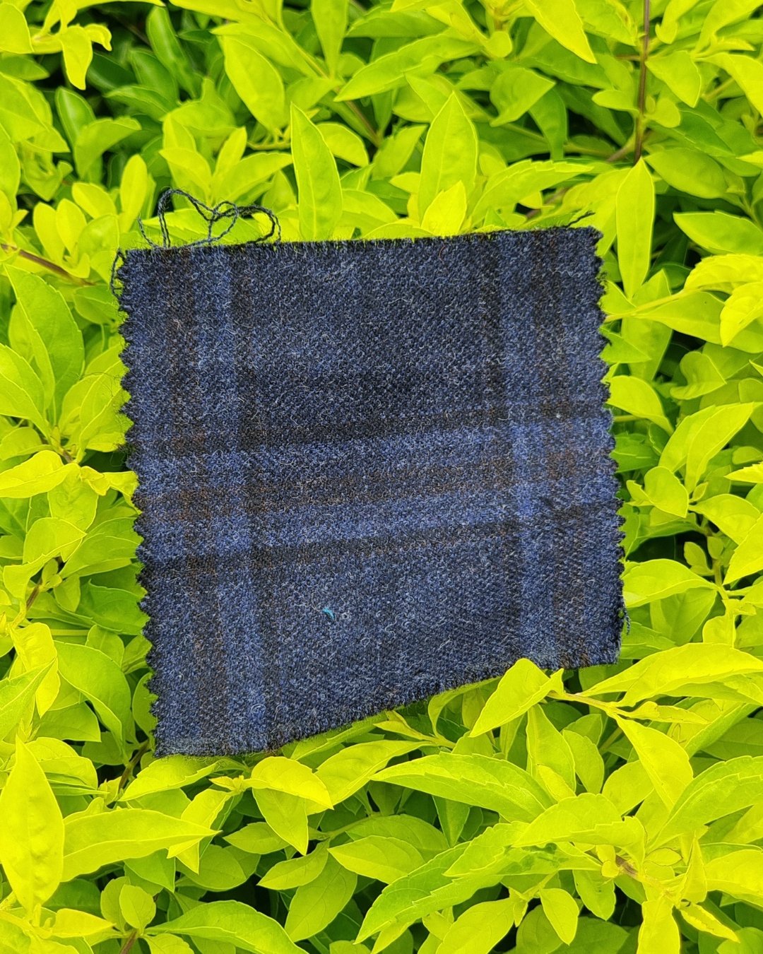 Navy Windowpane Tweed Blazer - Additional view 2