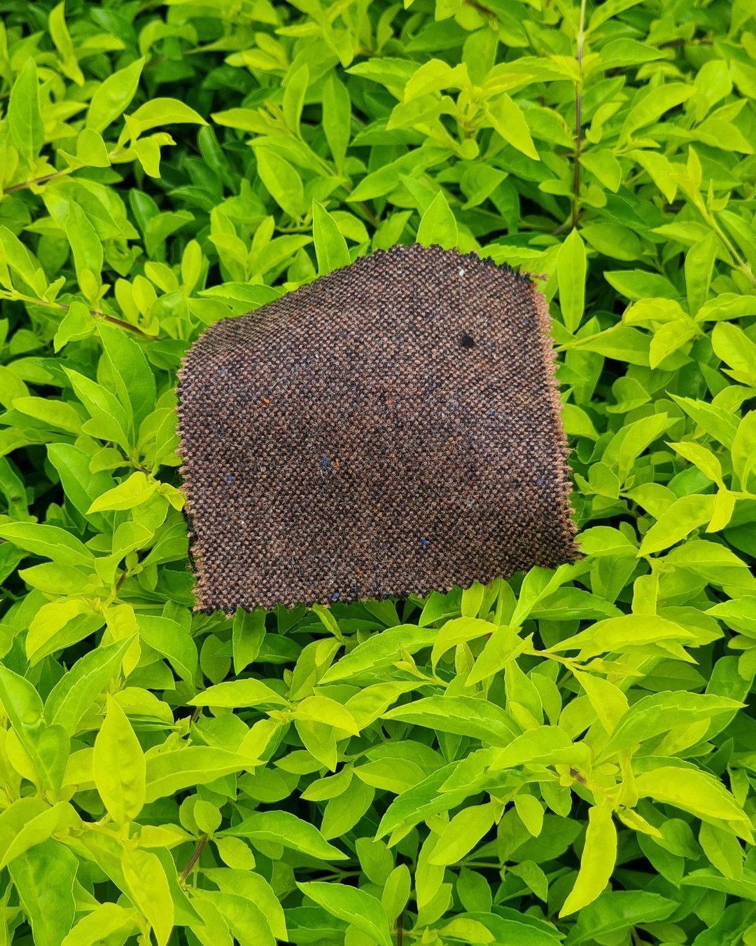 Chocolate Plain Weave Tweed Blazer - Additional view 3