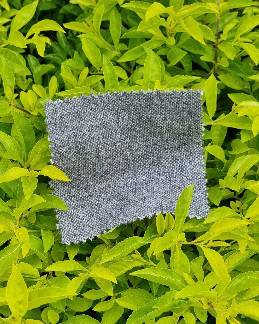 Grey Plain Weave Tweed Blazer - Additional view 4