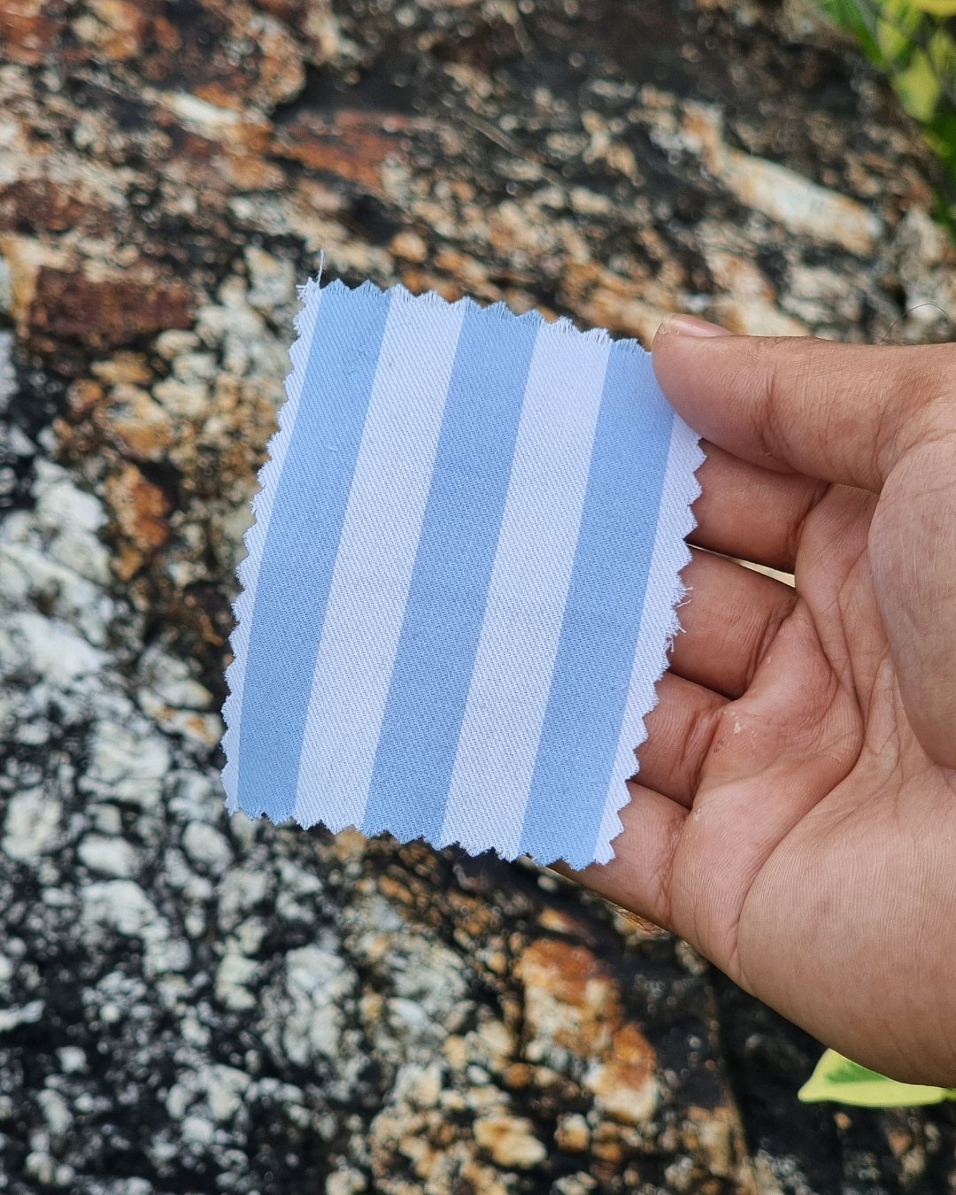 Sky Blue & White Stripe Italian Cotton Shirt - Additional view 2