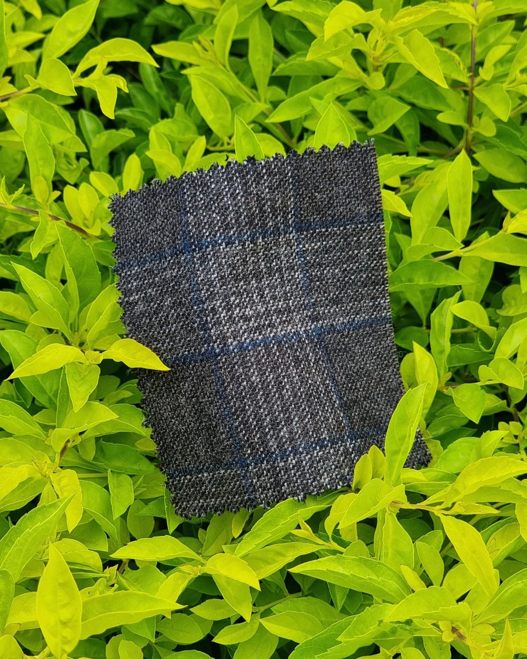 Charcoal Glen Check Tweed Blazer - Additional view 4