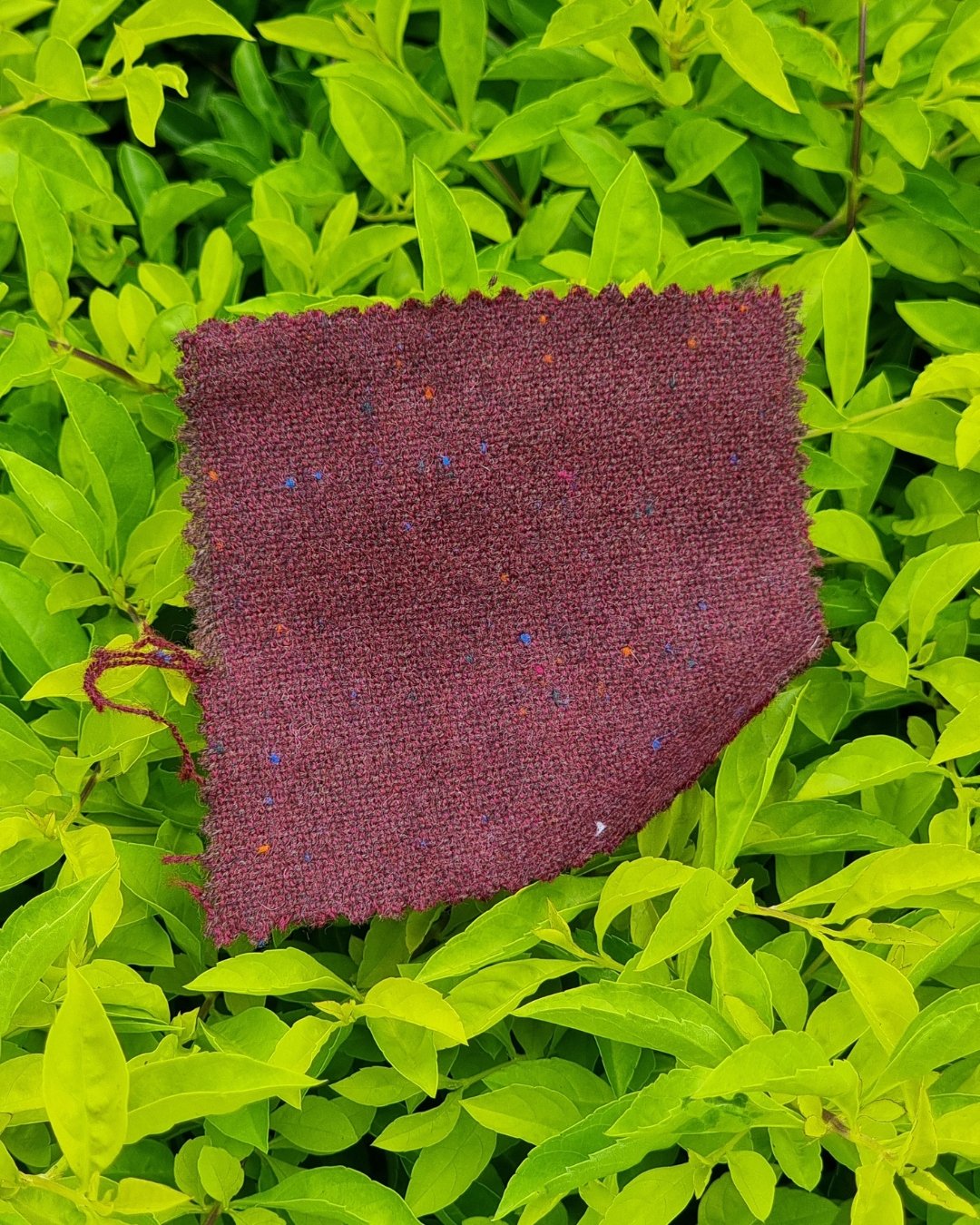 Burgundy Donegal Tweed Blazer - Additional view 3