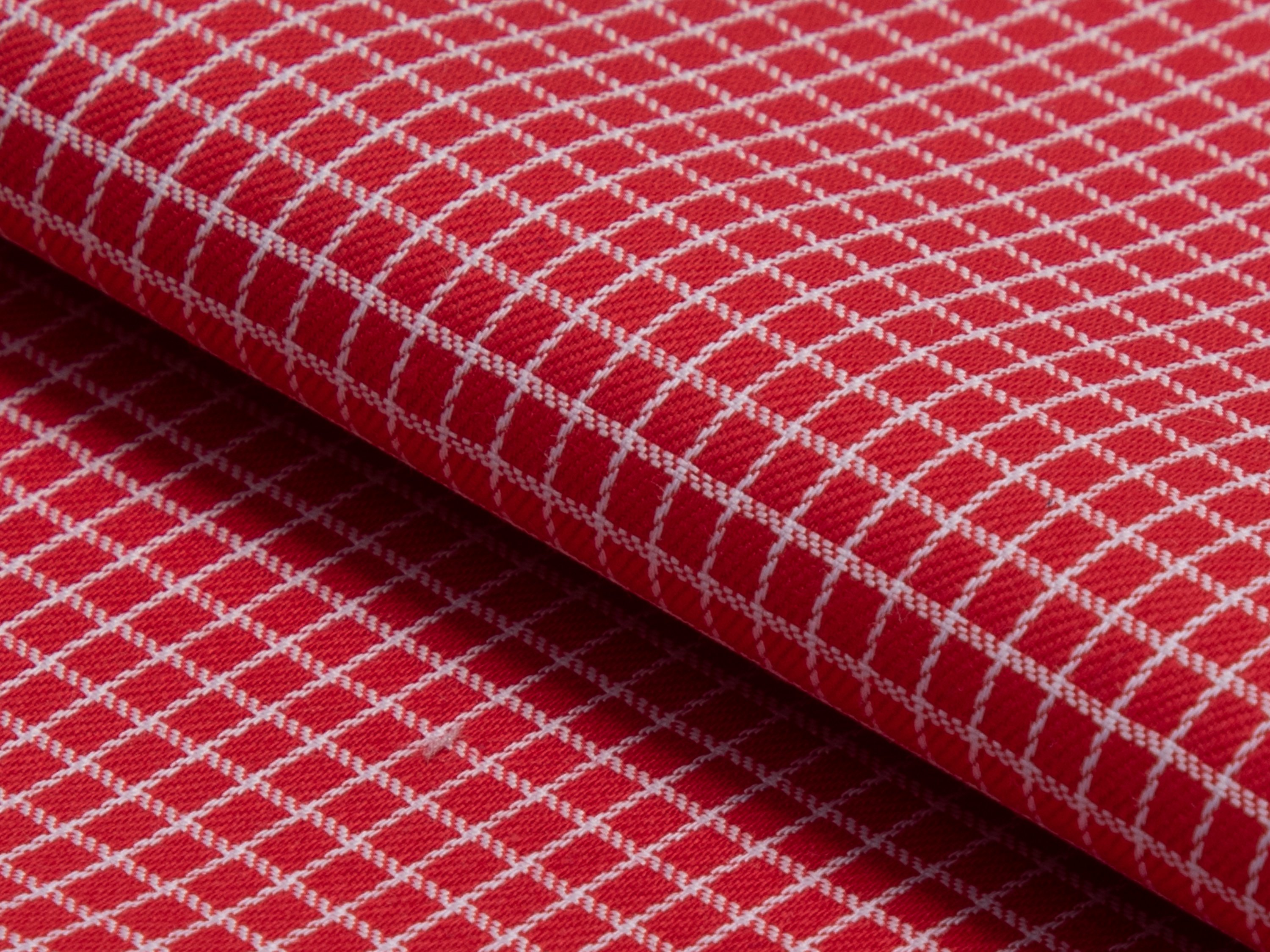 Red Graph Check Cotton Shirt - Additional view 3