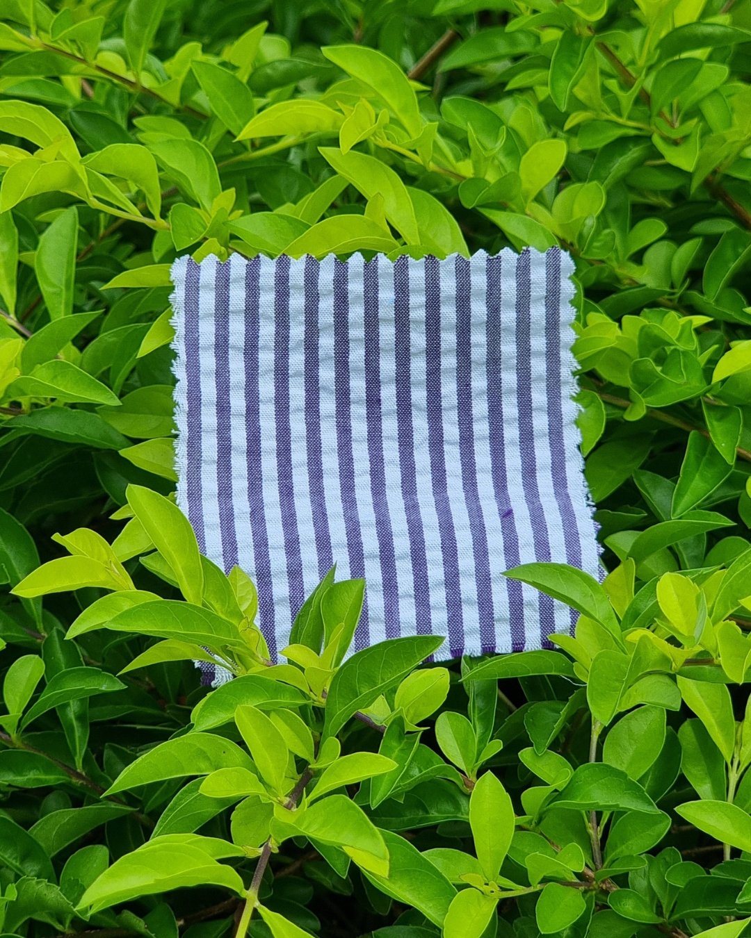 Ocean Blue Striped Seersucker - Additional view 1