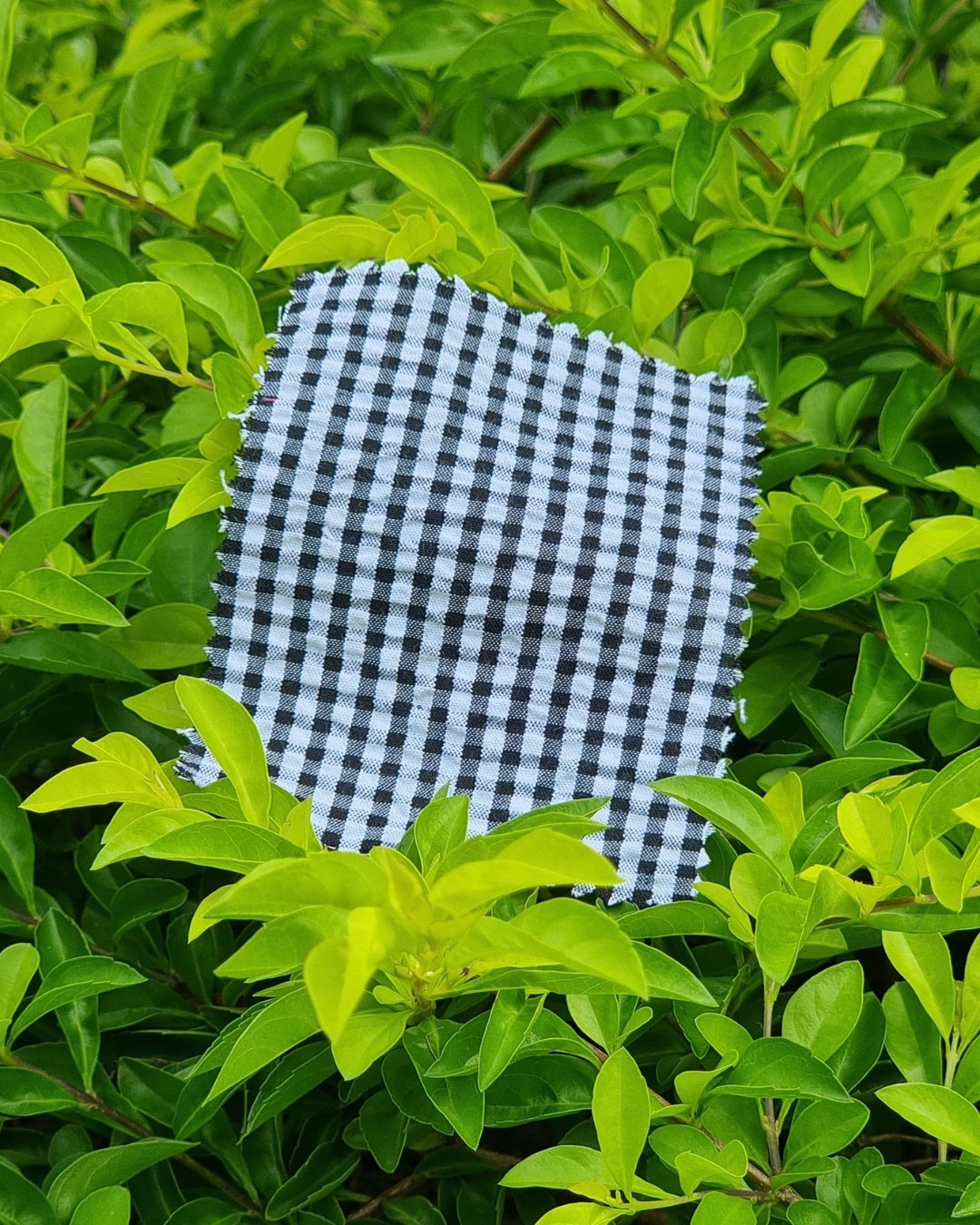 Black & White Gingham Seersucker - Additional view 2