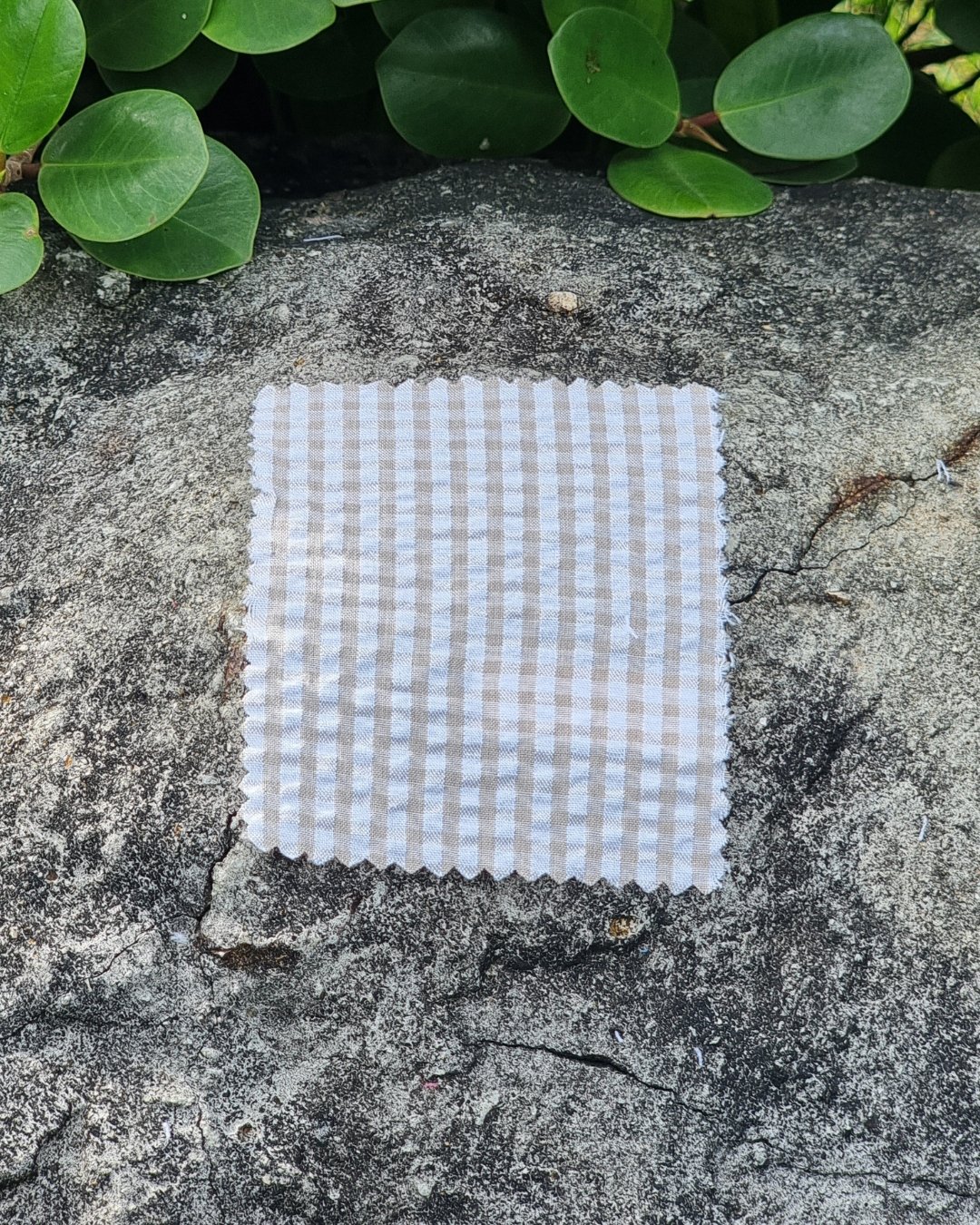 Cream Beige Gingham Seersucker - Additional view 3