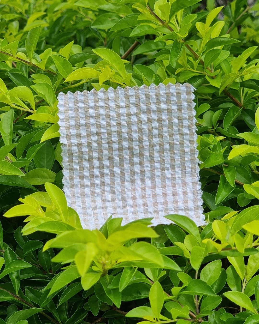 Cream Beige Gingham Seersucker - Additional view 1