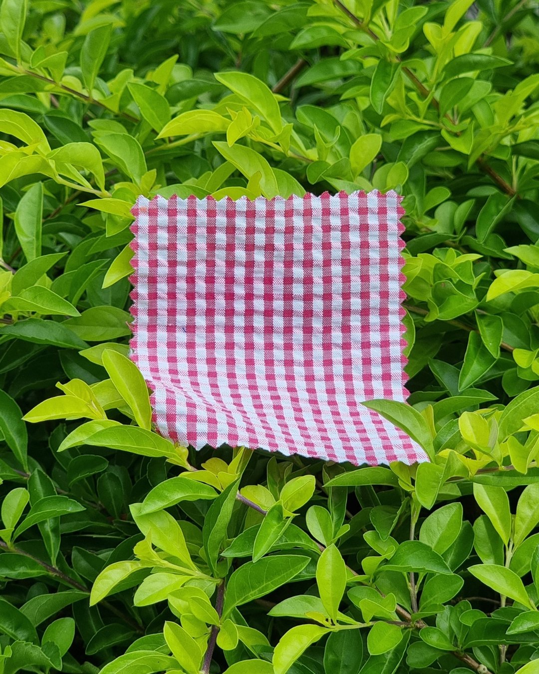 Deep Pink Gingham Seersucker - Additional view 1