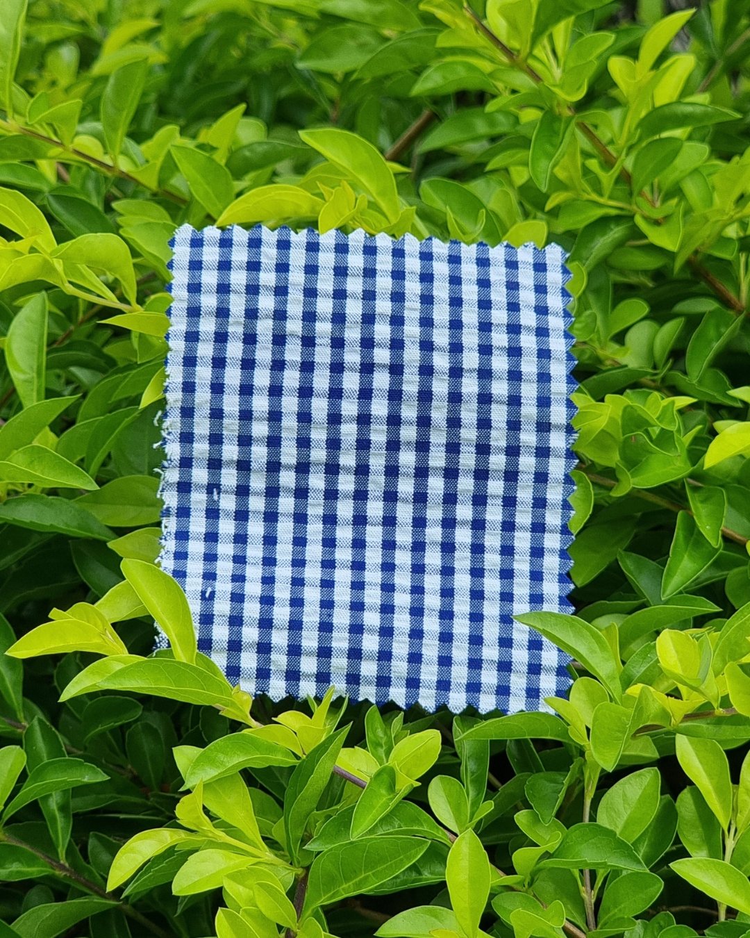 Sky Blue Gingham Seersucker - Additional view 1