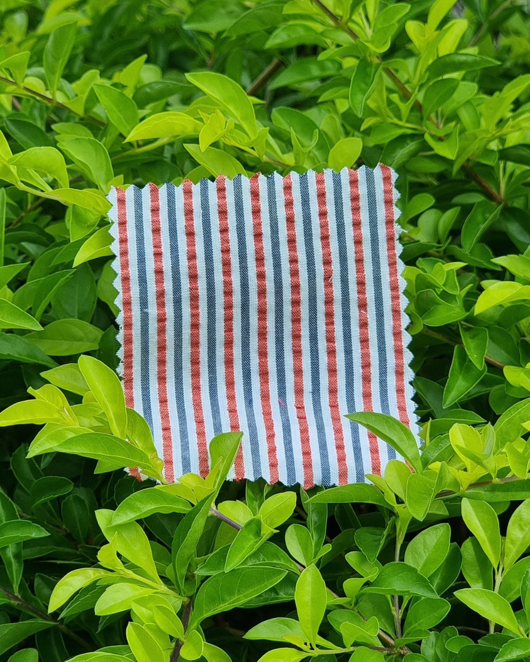 Red & Gray Striped Seersucker - Additional view 1