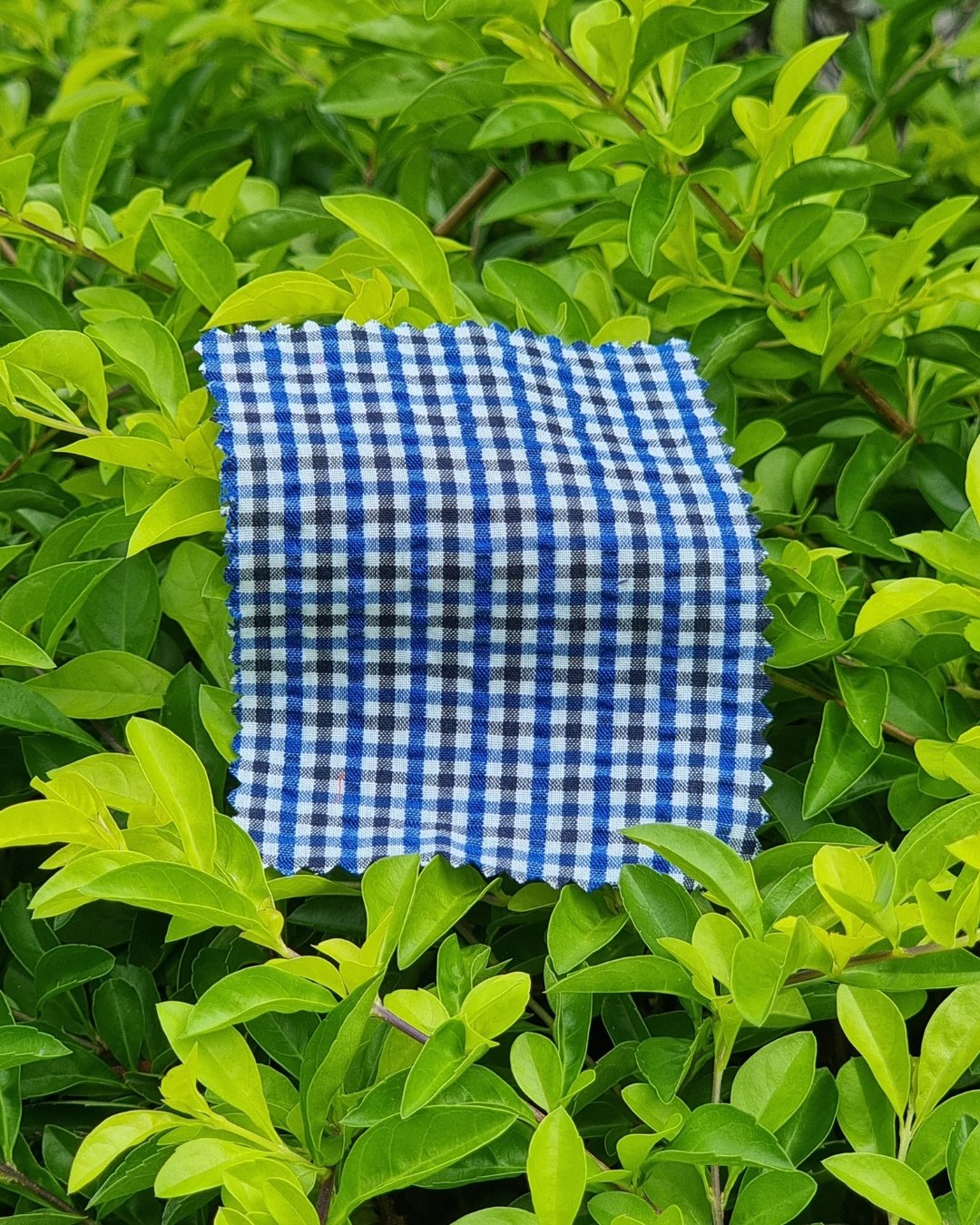 Fresh Blue Gingham Seersucker - Additional view 1