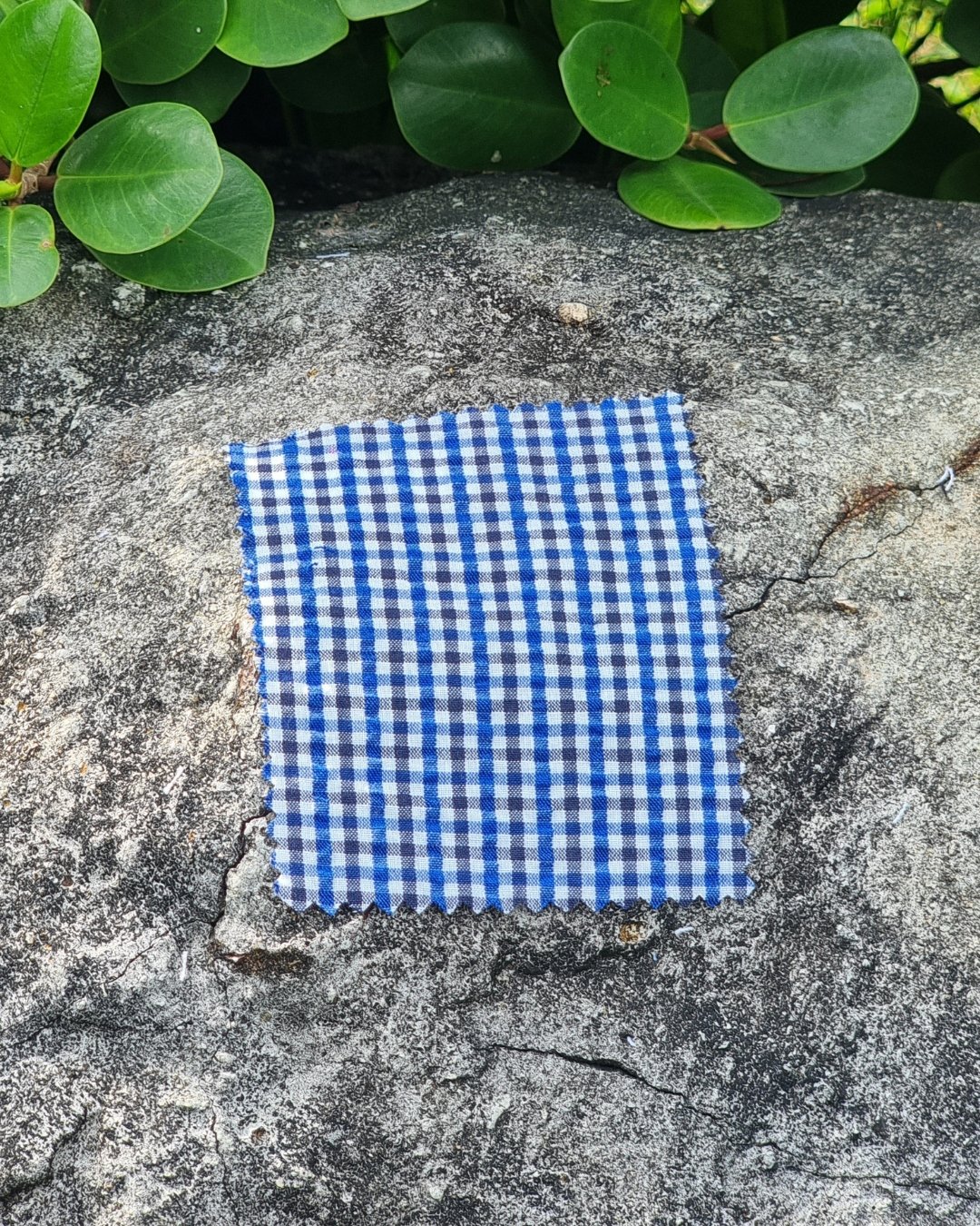 Fresh Blue Gingham Seersucker - Additional view 4