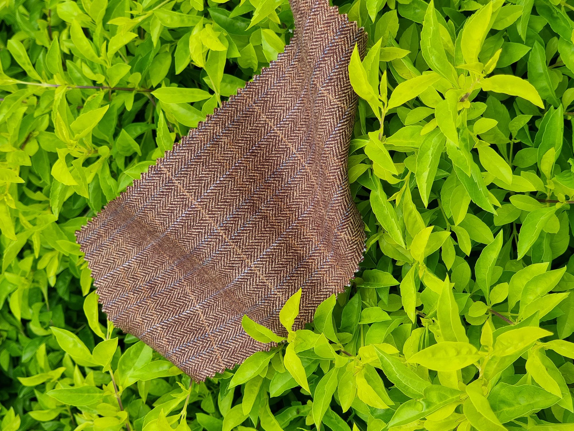 Premium menswear tailoring